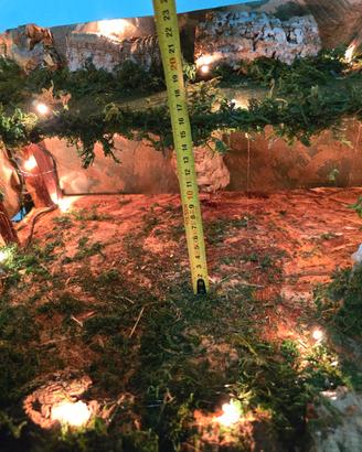 presepe 