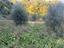 Immagine 14