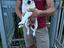 Immagine 4