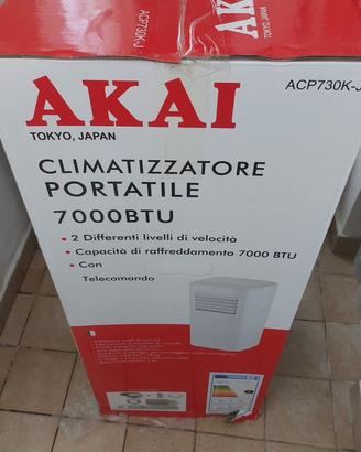 Condizionatore portatile