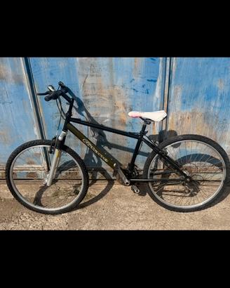 Bici mtb misura 26