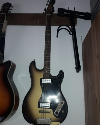 Basso hofner