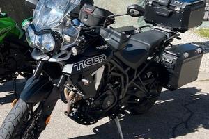 TRIUMPH  TIGHER 800  XRX   LOW
