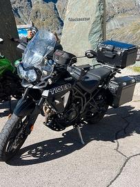 TRIUMPH  TIGHER 800  XRX   LOW
