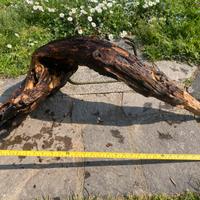 Legno decorativo per acquario