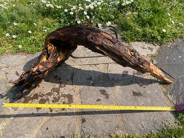 Legno decorativo per acquario