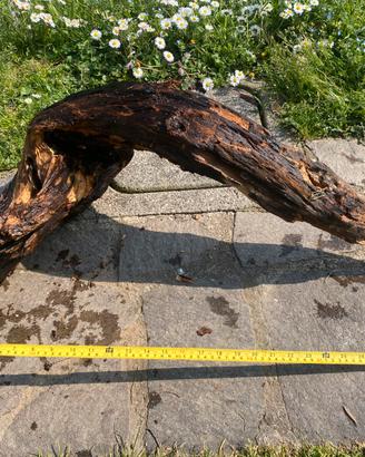 Legno decorativo per acquario