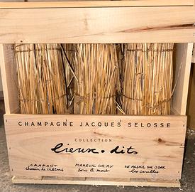 CHAMPAGNE SELOSSE LIEUX DIETS