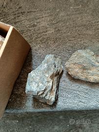 Pietre inerti per acquario