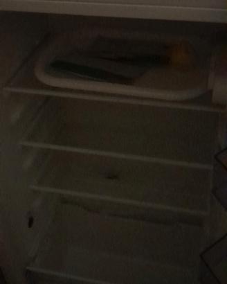 frigo