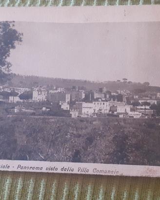 cartoline 