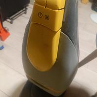 lavor pro a rullo con spazzola