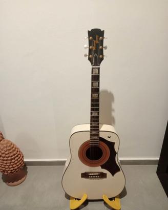 Chitarra acustica