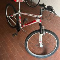 bicicletta casadei