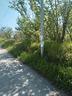 terreno-agricolo-fornte-strada