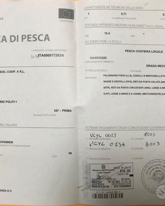 Licenza alle arselle