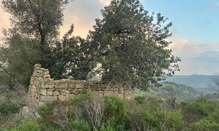 Terreno agricolo in Sardegna vicino al mare