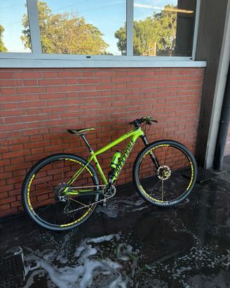 F Si Cannondale Carbon Team 2019
