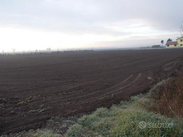 Terreno agricolo