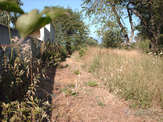 Terreno agricolo Casola di Caserta