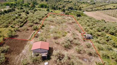 Terreno agricolo con magazzino a Giardinello