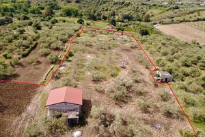 Terreno agricolo con magazzino a Giardinello