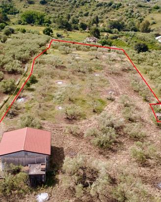 Terreno agricolo con magazzino a Giardinello