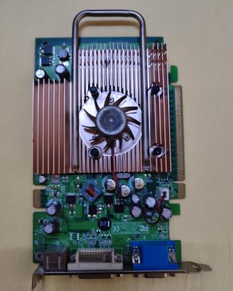 Scheda Video Vintage Point of View NVIDIA