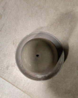 Discus cono per deposizione uova