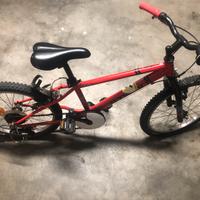 Bici bambino 20 pollici