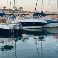 Monterey 295 sport cruiser