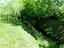 Immagine 9