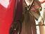 Immagine 11