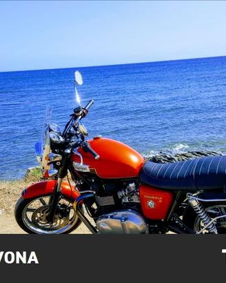 TRIUMPH Bonneville 865 SE