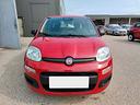 fiat-panda