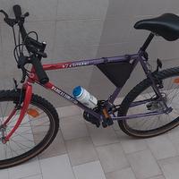 Mountain bike da donna 