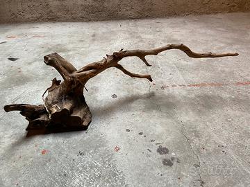 Legni/radici decorazione acquario dolce