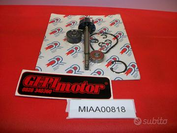 Pompa acqua majesty 400