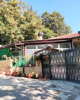 villetta cn giardino e bosco di proprietà 