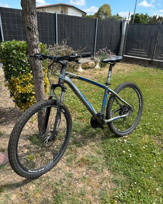 Bicicletta mountain bike