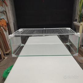 Acquario completo per tartarughe