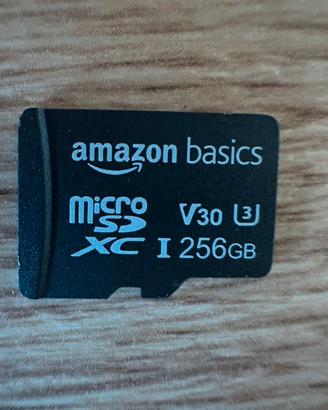 Scheda sd da 256GB