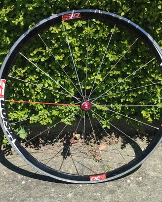 Ruota Vision t30