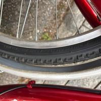 Bici leri