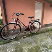 Bicicletta Jumpertek Country CX 401