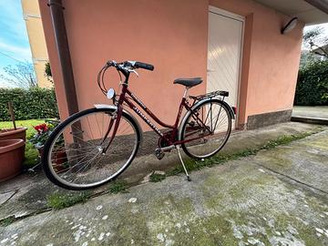 Bicicletta Jumpertek Country CX 401