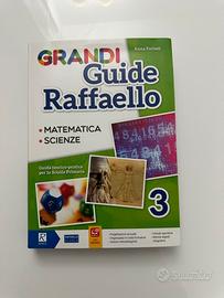 Grandi guide Raffaello vol. 3 Matematica. Scienze