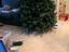 Immagine 5