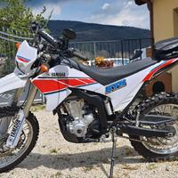 Yamaha WR 250 R