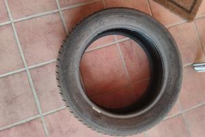 Dunlop Sport Bluresponse 195-55 R16